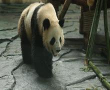 泉州海丝野生动物世界26