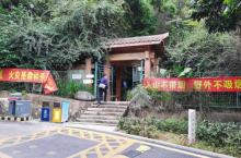 狐尾山公园20