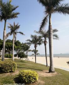 海湾公园29