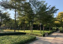 海湾公园18