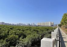 洛阳桥25