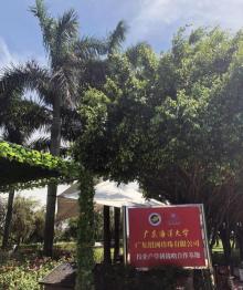 绍河珍珠科技园3