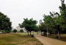锦峰柏嘉运动公园6