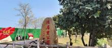 德居里公园2