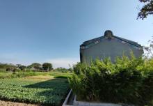 德居里公园8