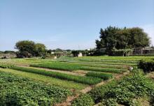 德居里公园6