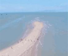 鱼骨沙洲2