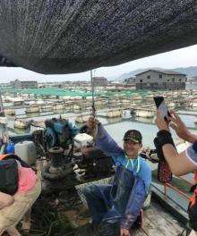 鱼骨沙洲14