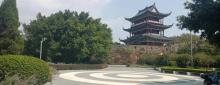 龟角尾公园1