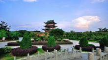 龟角尾公园11