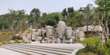 塔斗山公园6