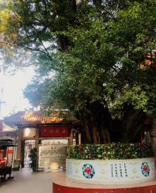 寿量古寺7