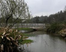 梅林湿地公园2