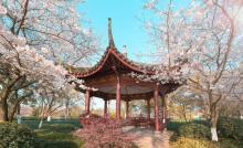 赣州城市中央公园5