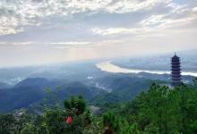 杨仙岭4