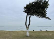 黄厝海滨浴场2