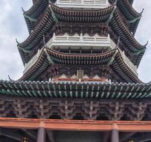 杨梅渡公园4