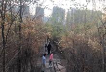 杨梅渡公园7