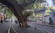 赣州公园4