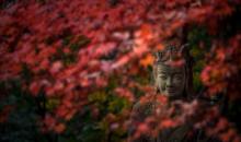 灵隐寺3