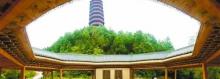 宋城公园8