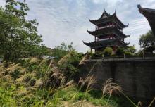 八镜台5