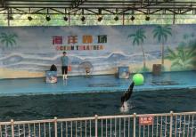 赣州森林动物园20