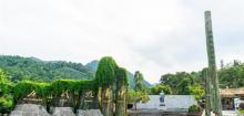 九龙谷景区18
