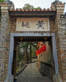 带龙桥24
