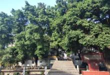 小榄水乡民俗馆8
