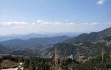 大芹山21