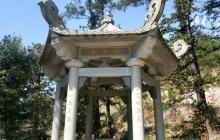 大芹山22