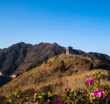 大芹山1