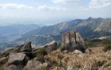 大芹山19