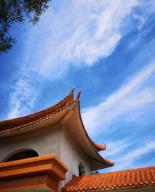 福建东山国家级森林公园7