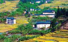 福建土楼王景区10