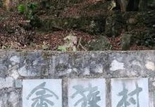 畲族村3