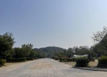 觅坞野营·大榕树营地1