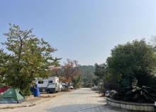 觅坞野营·大榕树营地2