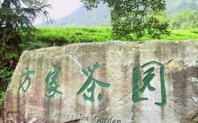 方家茶园1