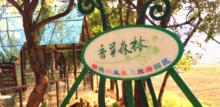 香草森林1