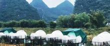 香草森林7