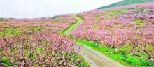 桂阳桃花溪风景区1