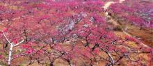 桂阳桃花溪风景区2