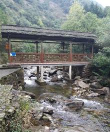 千家峒8