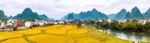 白沙镇4