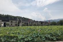 流华湾荷花古村6