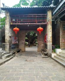 平乐榕津古榕7