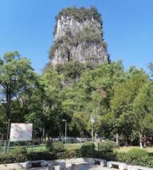 阳朔森林公园2
