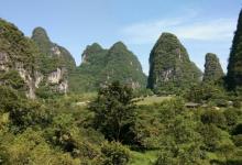 阳朔森林公园3